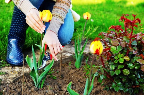 Written complaint form and notes for arborist services