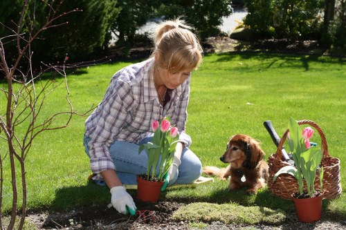 Trusted checkout options for secure tree surgery payments