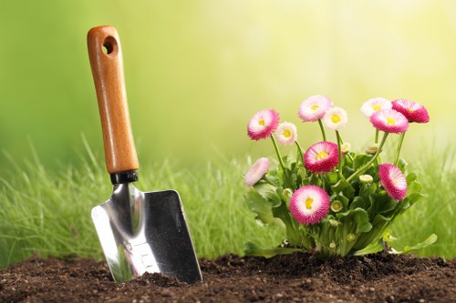 Local hedge maintenance improving garden privacy in Addiscombe